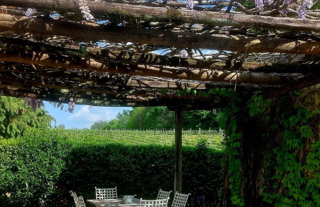 AGRITURISMO L'EREMO - Photo 36