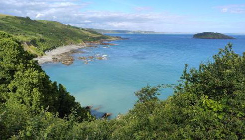 Driftwood in Looe River view and parking - Foto 5