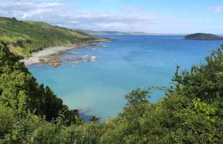 Driftwood in Looe River view and parking - Foto 5