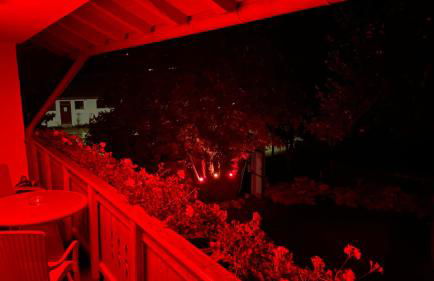 FeWo Chris, nähe Center Parcs Leutkirch im Allgäu - Foto 16