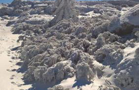 Casa Ferreira - Foto 30