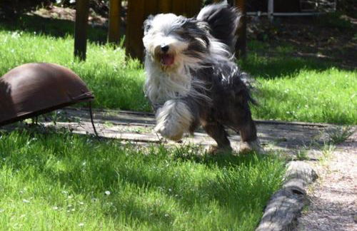 Heimat Floral Ferienhaus - Foto 15