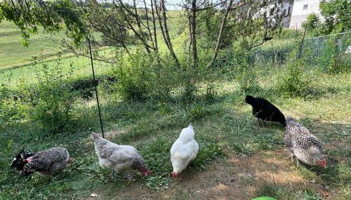 Ferienwohnung Aussicht, Monheimer Alb, Altmühltal - Foto 5