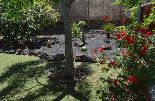 La Alpispa - Foto 50