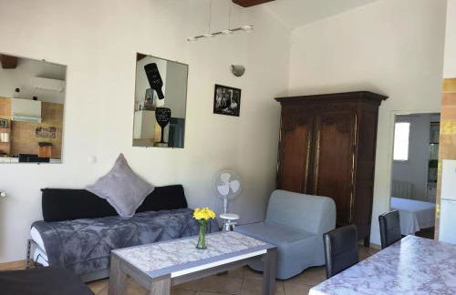 15mn de Cannes, Villa la Soleiade , Gites , type T2, clim, piscine, parking au Lac de Saint-Cassien VAR - Foto 25