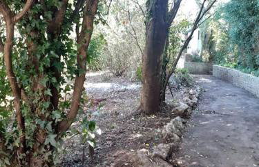 Home of author of the famous Jungle Book - Foto 15