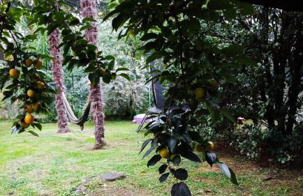 Adda River Casa Vacanza - Foto 16