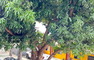 Suíte de Luxo em Boa Vista - Foto 11