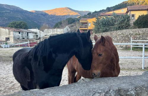 Luna de Gredos - Dormitorios con baño en suite - Foto 47