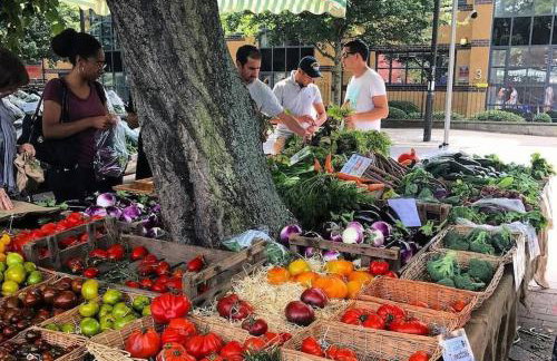 Perfect studio 5 minutes to tube- Basement - Foto 11