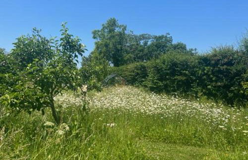 2 Guests Studio - Free Parking - Stunning Views - Foto 24