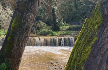 Casa Frodo - Foto 40