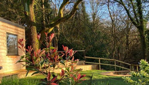 The Cabin in the Woods - Foto 2, Garden, Garden view