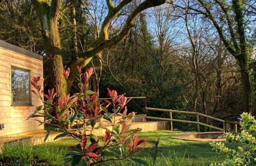 The Cabin in the Woods - Foto 2