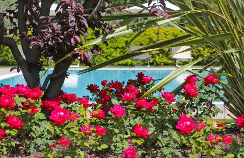 Agriturismo La Rocca - Foto 18