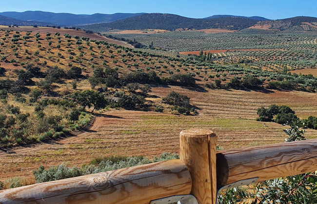 Visita a la finca La Pontezuela con cata de aceites - Foto 1