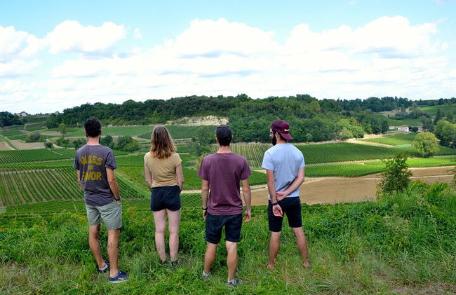 "Explora Saint-Émilion en bicicletas eléctricas: Grupo pequeño, excursión de medio día" - Foto 12