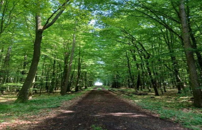 Schone Ferienwohnung mit Gemutlicher Terrasse - Foto 31
