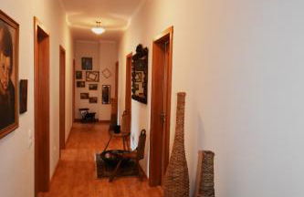 Quinta das Ameixas - Country & Nature - Foto 63