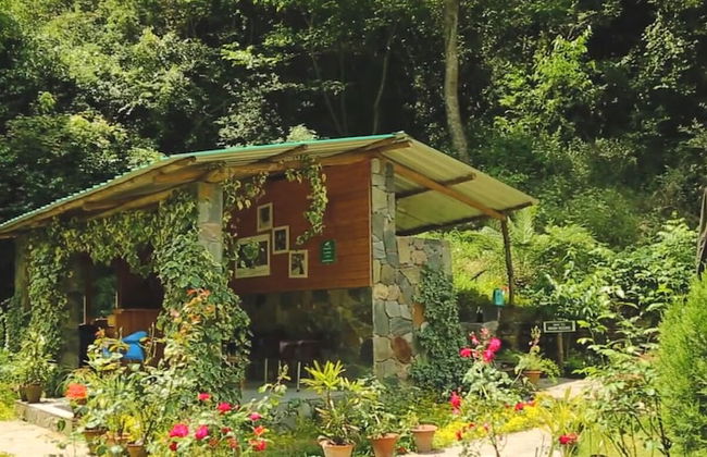 Hail Himalayas - Foto 2