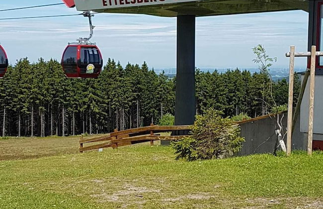 Fewos 4-Jahreszeiten - Foto 28