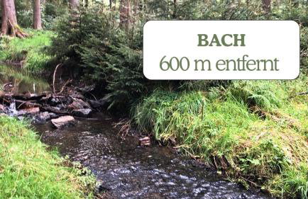 Hundeurlaub - Tiny House im Wald - Foto 12