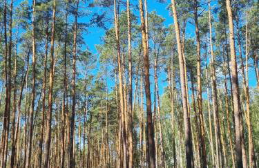 Chill in Lubrza - Foto 56