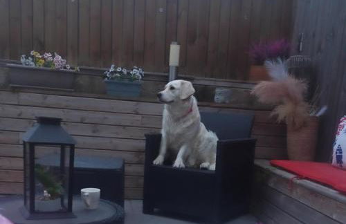 Appartement 100m2, indépendant dans notre maison - Foto 12