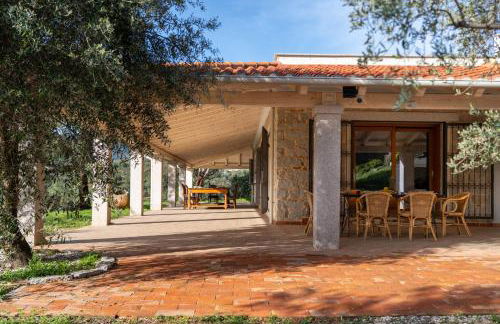 Villa S'Olioni - Foto 30