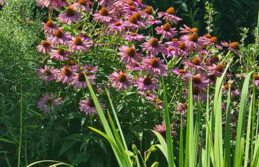 Haus Rosengarten mit Sauna - Foto 17