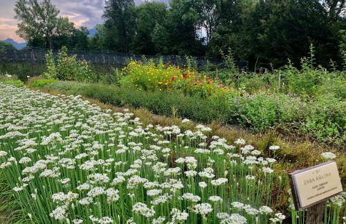 Loft Naturalpina Dolomiti Farm - Foto 21