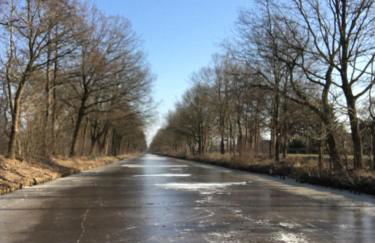 Ferienhaus Jahn - Foto 13