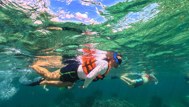 Contemplando os jardins subaquáticos em Puerto Morelos