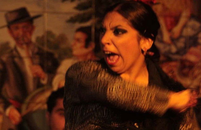 Show en el Tablao Flamenco 1911 - Foto 4