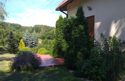 Przytulne Studio Borówkowy Zagajnik - Foto 23