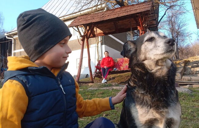 Room in Guest Room - Idylic Family Sejour With Hottube in Green Land - Foto 29