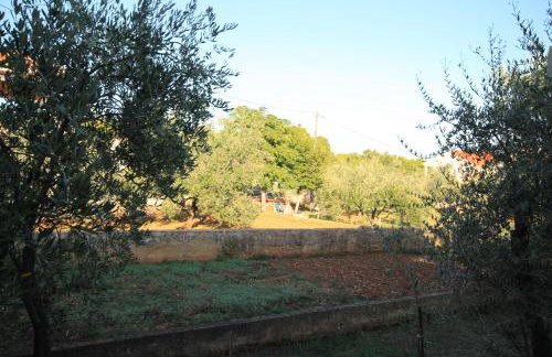 Apartments by the sea Ugljan - 348 - Foto 29