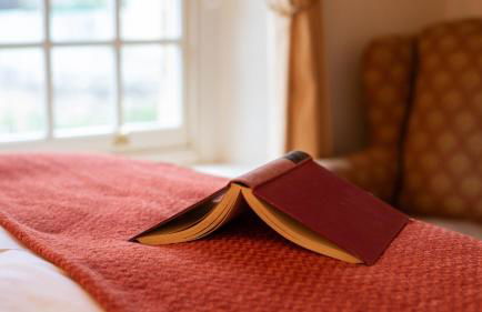 Mouse Manor - Photo 13