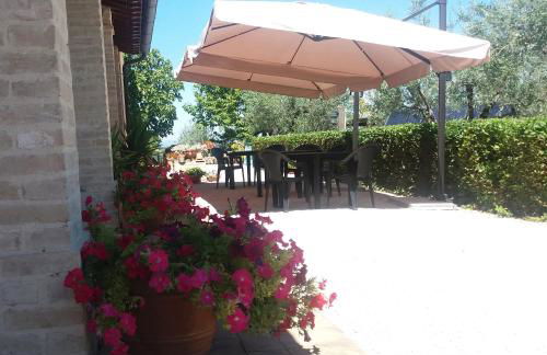 Tenuta Colverano - Foto 34