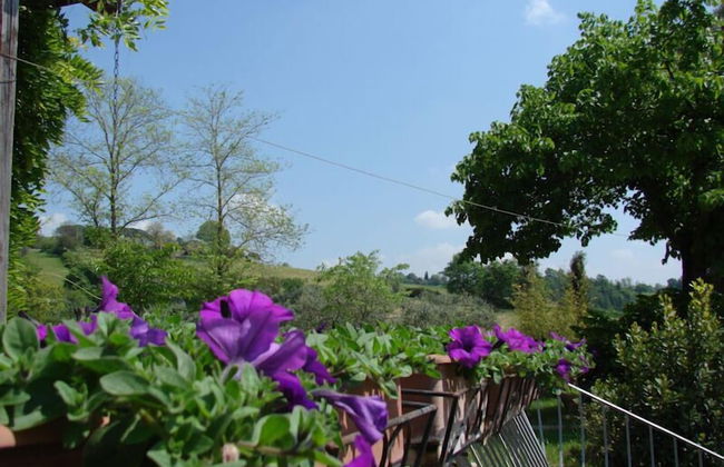 Agriturismo Terrasabina - Foto 57