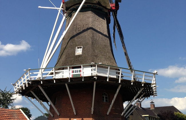 Chalet in Reutum With Sauna and Nature - Photo 36