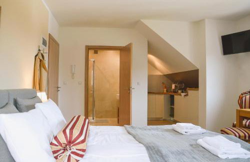 Apartamenty Agroturystyczne Papiernia Grill, Sauna & Jacuzzi - Foto 13