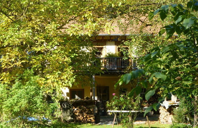 Lindenblatt ' Right - Foto 19