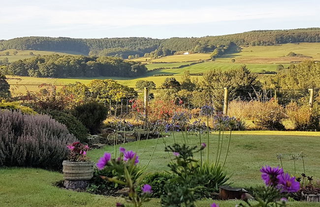 Woodpeckers Cottage - Photo 28