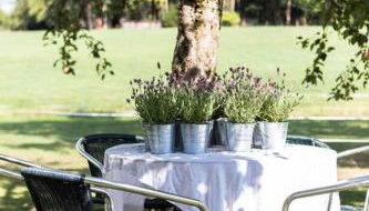 Naturidyl Schneckenbuch - Foto 4, Garden, Garden view