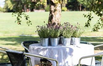 Naturidyl Schneckenbuch - Foto 4