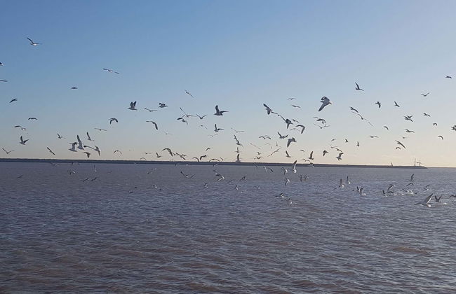 Escursione all'isola Martín García in barca - Foto 1