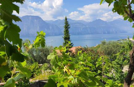 Point of View - Foto 13