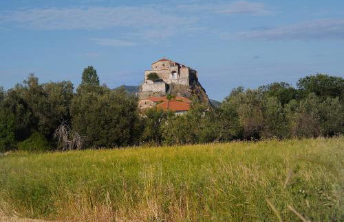 Anastasia's Corner - Photo 40