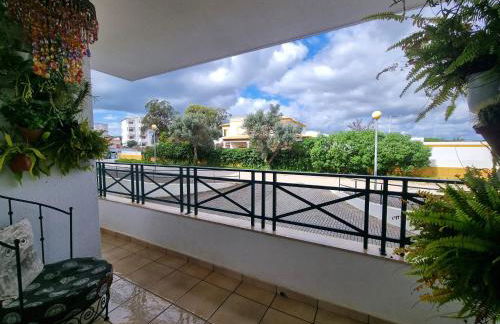 T1 Falesia - Foto 10